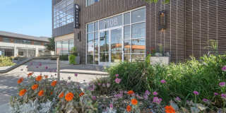 Avalon Lowry Gallery 67