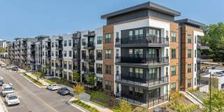 Ellison at The Exchange Gallery 53