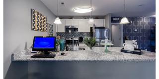 Plantation Flats Gallery 16