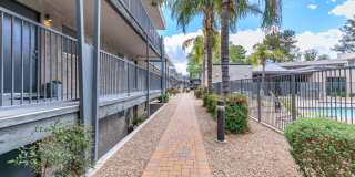 Treehouse Apartments Gallery 29