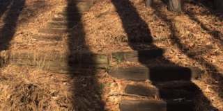 6026 Coltswood Court Gallery 34