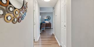 Buena Vista Gallery 68