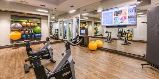 Valentia by Windsor Gallery 29