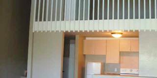 Coconut Inn Gallery 8