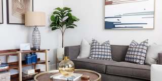 The Cardinal Gallery 5