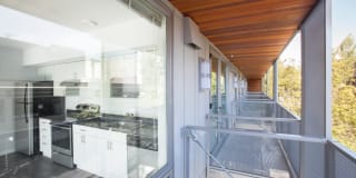 Beryl Gallery 32