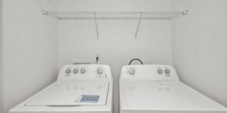 Affinity at Hudson Gallery 41