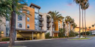 Pacific Place Gallery 14