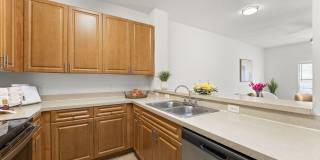 Estates at Lake Cecile Gallery 7