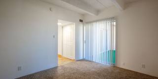 Los Altos Towers Gallery 26