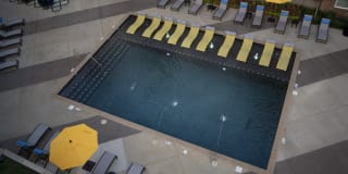 Avenue Madison Gallery 31