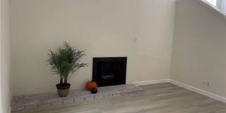 2427 Orange Avenue Gallery 11