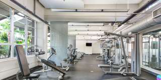 American Can Apartments Gallery 18