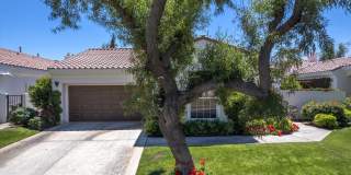 79365 Mandarina Gallery 7