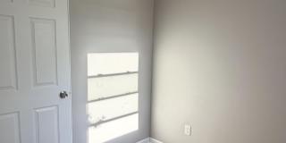 14 Windsor Terrace Gallery 12