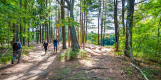 Quarry Hills Gallery 54