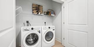 Ridley at Waterset Gallery 33