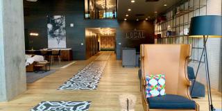 The Local Apartments by Mark-Taylor The Local Apartments by Mark-Taylor Gallery 11