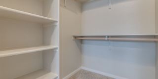 Olympus at Ten Mile Gallery 14