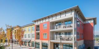 The District Gallery 22