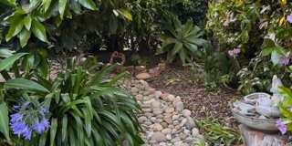 Fully Furnished Tranquil Downtown Home - Available Now! Fully Furnished Tranquil Downtown Home - Available Now! Gallery 19