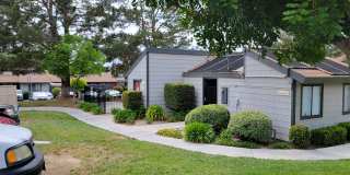 Dove Ridge Gallery 4
