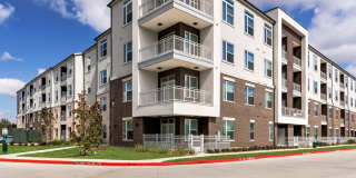 Vera Cedar Park Gallery 41