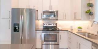 The Whitney Gallery 12