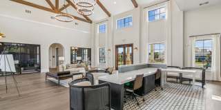 The Stafford Gallery 7