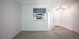 Treehouse Apartments Gallery 64