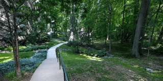 The Forest Apartments Gallery 38