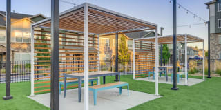 Sandalwood Gallery 6