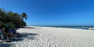 254 6TH Ave S unit: 8 Gallery 1