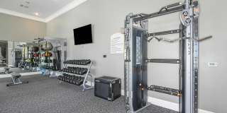 Venetian Isle Gallery 16