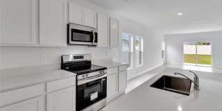 275 PUMA LOOP Gallery 8