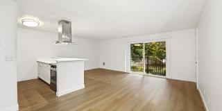 Driftwood Gallery 25