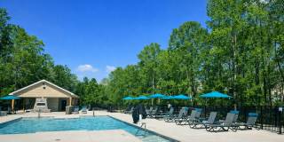 Pine Reserve Apartments Gallery 7