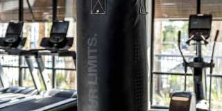 Alta Longwood Gallery 7