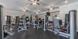 Arlo Luxury Apartment Homes Gallery 21