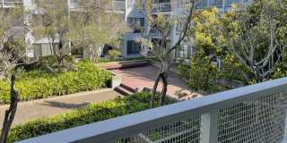 Sunny Studio in Resort Setting on the Bay 15 minutes from SF Gallery 15
