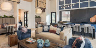 Vireo Medical District Gallery 22