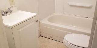 AVAILABLE AUGUST- Beautiful 3 Bed, 1 Bath Home Gallery 4