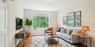 Cameron Court & Shelton Gallery 15