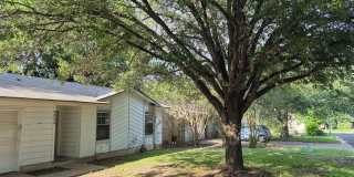 Charming South Austin Home with Huge Backyard & Mature Trees Gallery 4