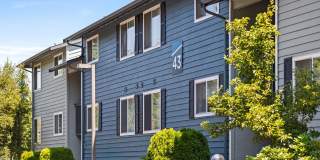 Avana Star Lake Gallery 101