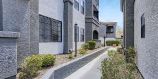 Mandarina Apartment Homes Gallery 64