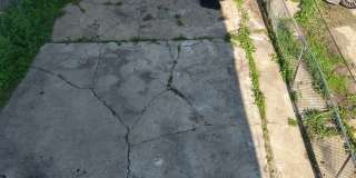 209 S Albany Avenue Gallery 11