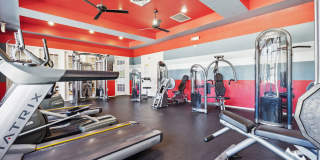 Vista Lake Ned Gallery 57