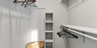 Aurella Cary Gallery 9