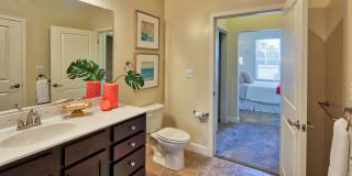 Solace Apartments Gallery 14